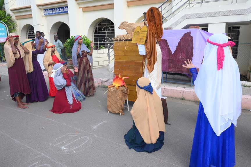 DSC_7329.jpg