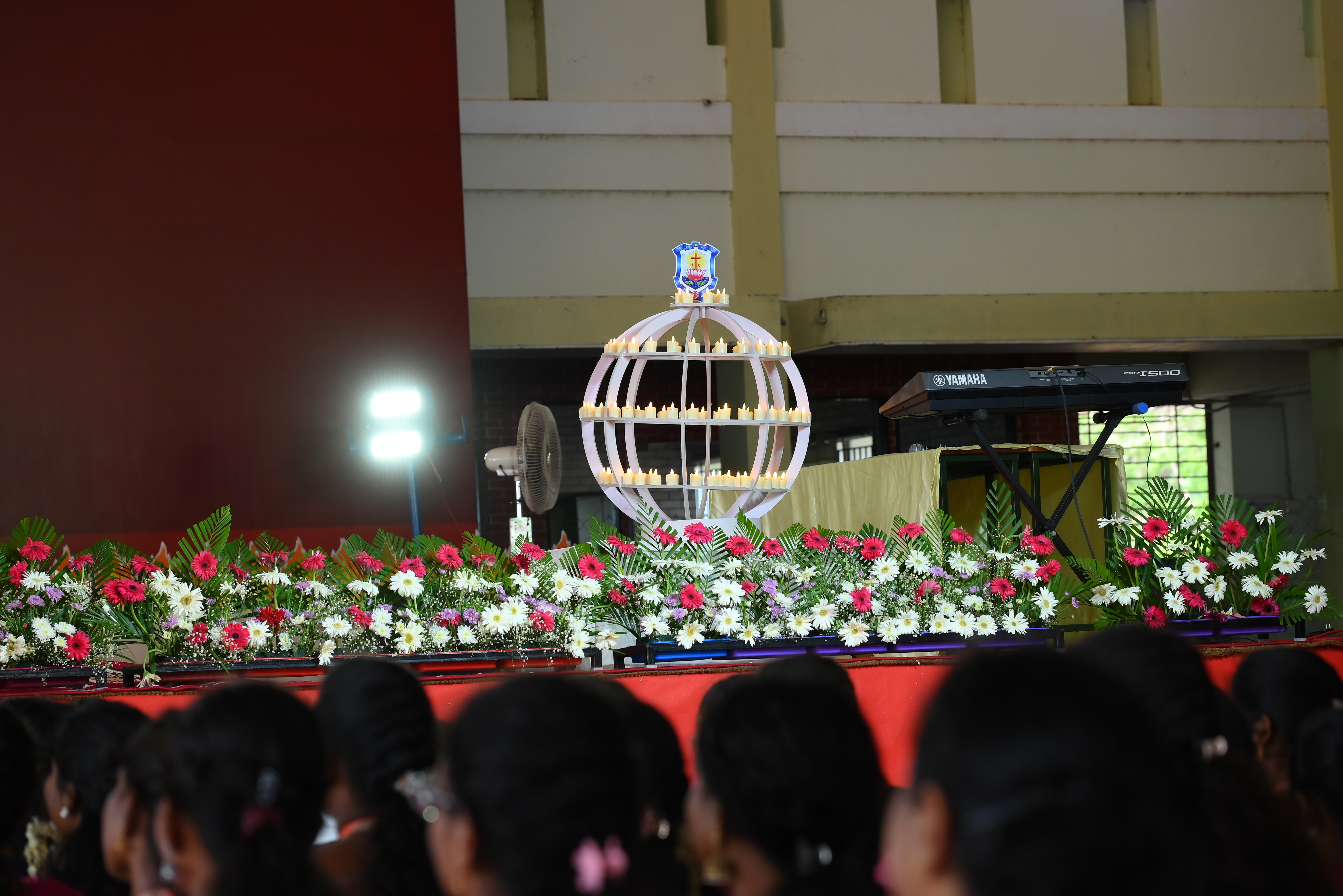 DSC_7955.JPG