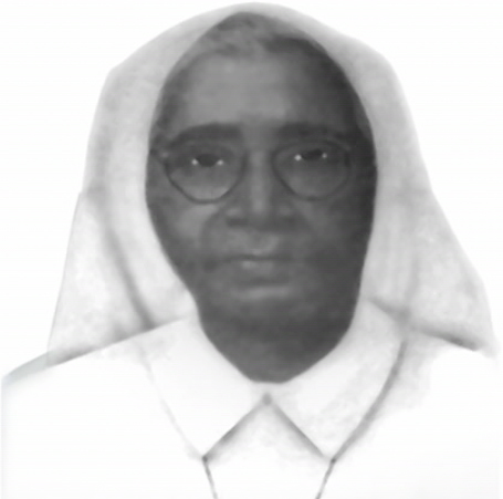 Principal 3